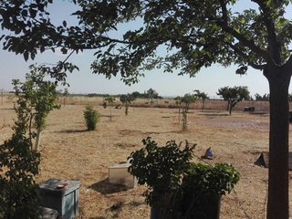 Chalet en venta en Manzanares