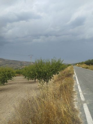 Solar en venta en Bullas