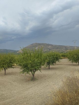 Solar en venta en Bullas