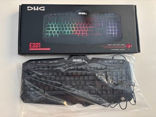Teclado Gaming Pro DHG E221 RGB
