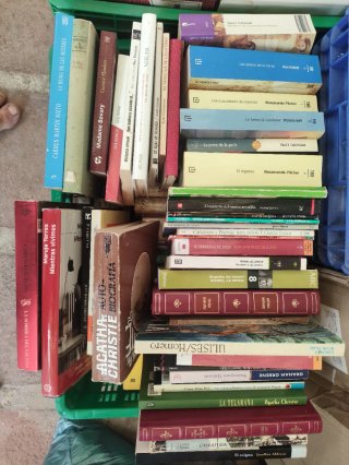 Liquidacion Lote 200 libros.