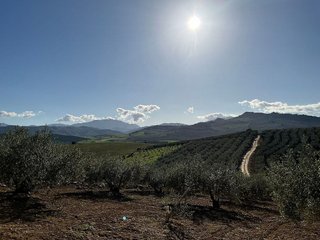 Terreno en venta en Coín