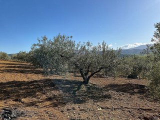Terreno en venta en Coín