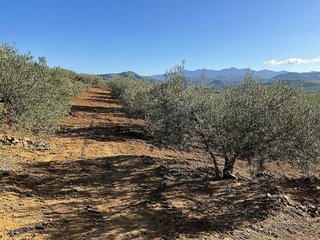 Terreno en venta en Coín