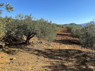 Terreno en venta en Coín