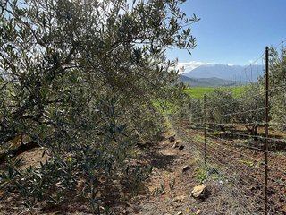 Terreno en venta en Coín