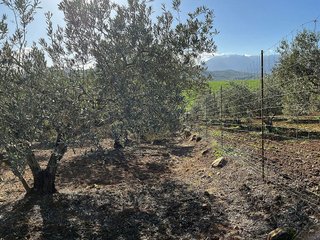 Terreno en venta en Coín