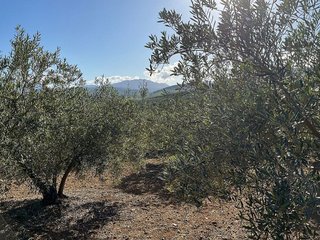 Terreno en venta en Coín