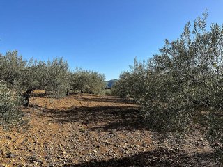 Terreno en venta en Coín