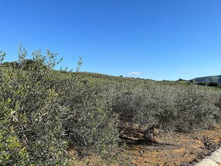 Terreno en venta en Coín