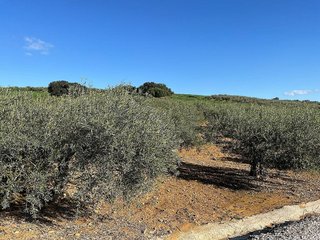 Terreno en venta en Coín