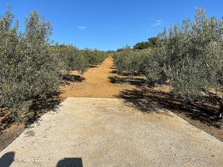 Terreno en venta en Coín