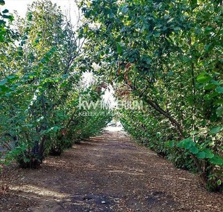 Terreno en venta en Riudoms