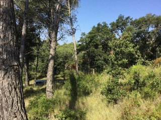 Solar en venta en Sant Joan-Vilarromà en Palamós