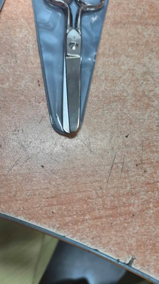 Tijeras Palmera modista y dependiente 5 y 6