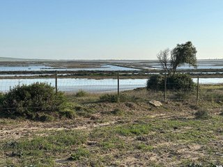 Solar en venta en Vejer de la Frontera