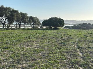 Solar en venta en Vejer de la Frontera