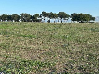 Solar en venta en Vejer de la Frontera