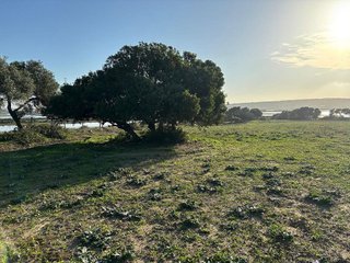 Solar en venta en Vejer de la Frontera