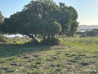 Solar en venta en Vejer de la Frontera