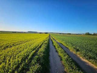 Terreno en venta en Tordesillas