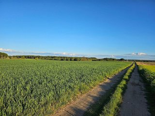 Terreno en venta en Tordesillas