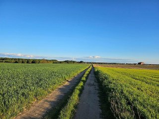 Terreno en venta en Tordesillas