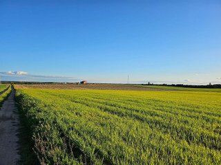 Terreno en venta en Tordesillas