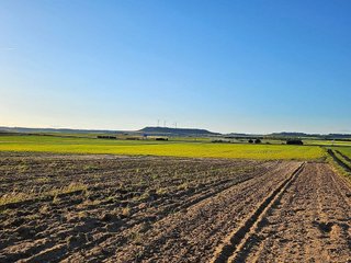 Terreno en venta en Tordesillas