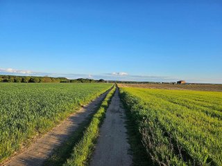 Terreno en venta en Tordesillas