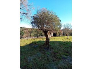 Terreno en venta en Lalín