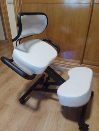 Silla ergonómica con respaldo y ruedas
