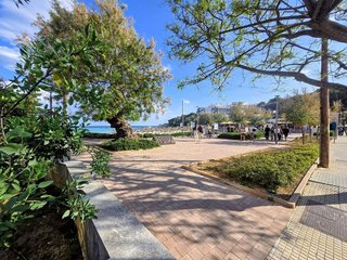 Local comercial en alquiler en Cala Ratjada en Capdepera