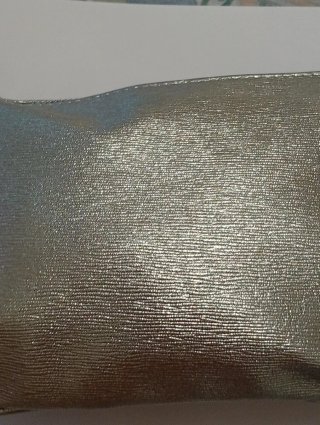 Pochette Carpisa Argento