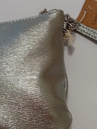 Pochette Carpisa Argento
