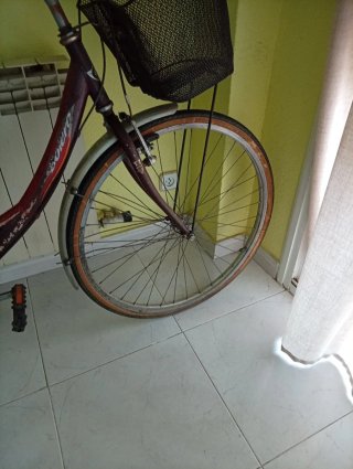 Bicicleta Paseo Mujer