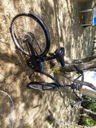 Bicicleta de marchas negra