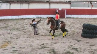 Bar en venta en Tordesillas