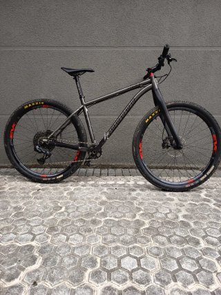 Bici titanio Joe Murray