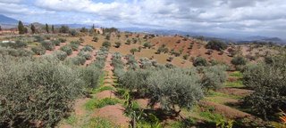 Terreno en venta en Coín