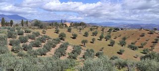 Terreno en venta en Coín