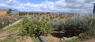 Terreno en venta en Coín