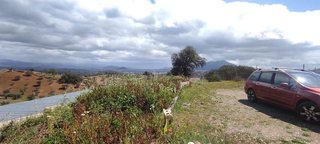 Terreno en venta en Coín