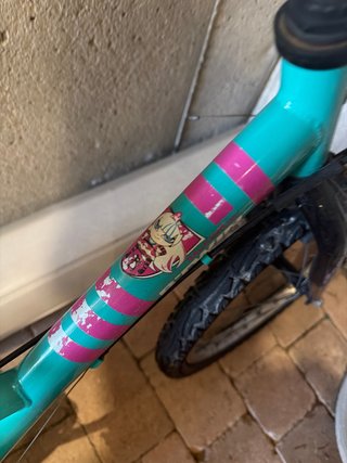 Bicicleta de montaña