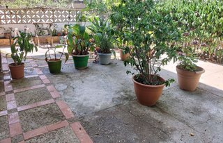 Local comercial en alquiler en Can Bou en Castelldefels
