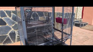 Jaula Critter Nation Double con accesorios