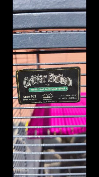 Jaula Critter Nation Double con accesorios
