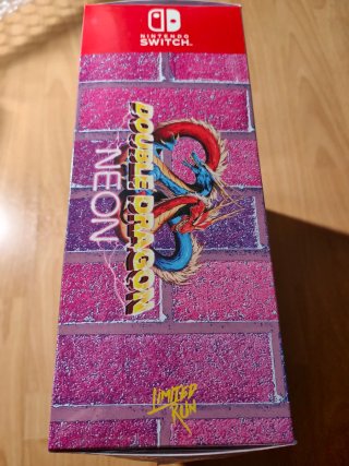 Double Dragon Neon Nintendo Switch