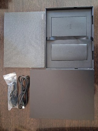 Monitor Onyx Boox Mira 13.3 (Blanco y negro)