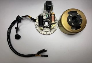 Encendido completo pit bike 90cc 110cc 125cc 140cc